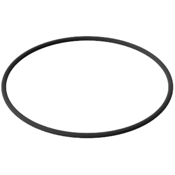 O-rings (Set of 2)