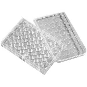 Standard 48-Well Cell Culture Plate, Sterile