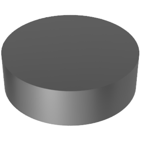 Stainless Steel (316L) Disc Coupon