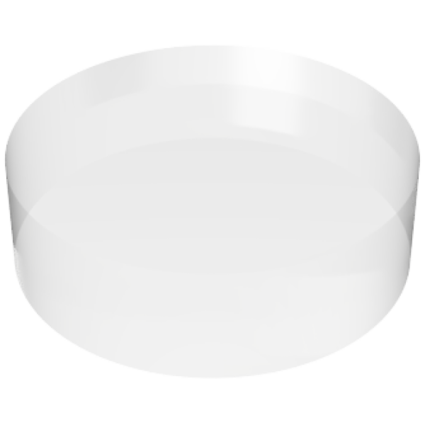 Borosilicate Glass Disc Coupon
