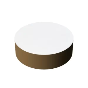 RD128-GT Glazed Tile Disc Coupon for CDC Biofilm Reactor