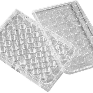 Corning 3548 48-well plate, sterile