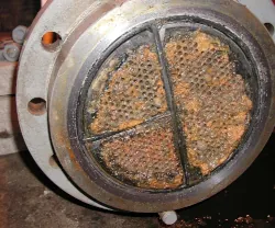 Image showing biofilm biomass causing restricted flow in a heat exchanger